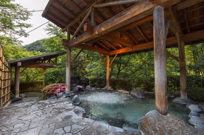 Oigami Onsen Yumoto Hanatei — photo 02