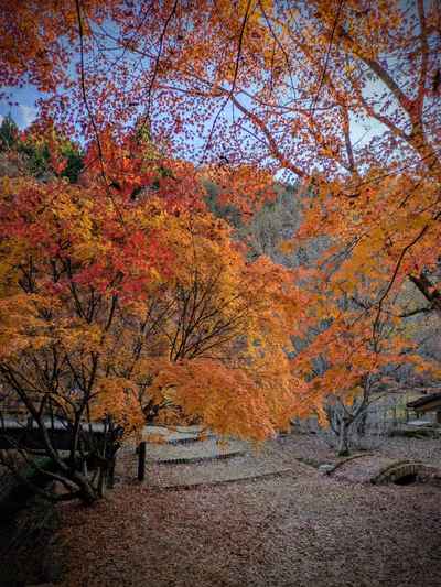 籠坊温泉 — photo 10
