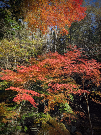 籠坊温泉 — photo 11