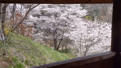 湯の澤鉱泉 — photo 10