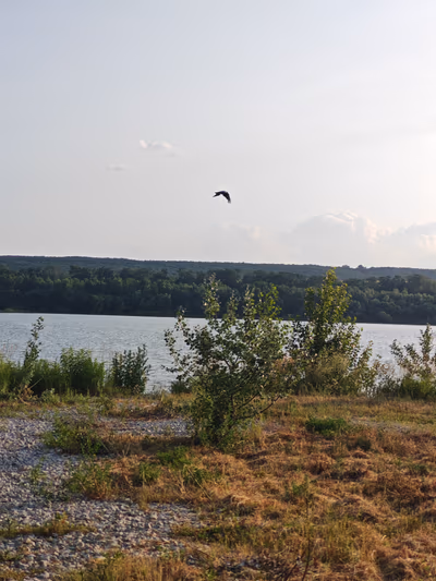 Fehérvárcsurgói — photo 20