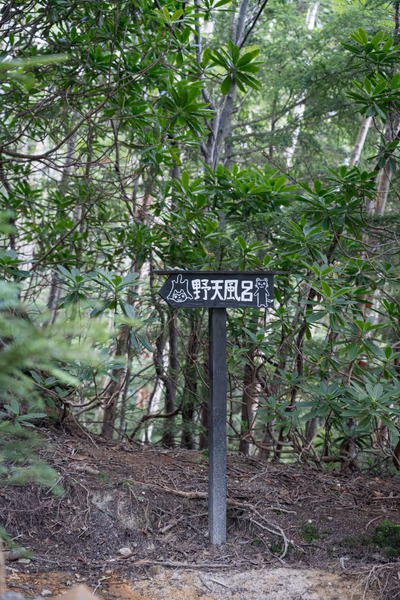本沢温泉 雲上の湯 — photo 12