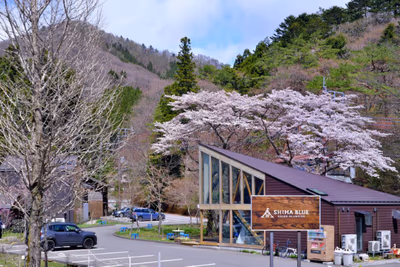 Shima Tamura — photo 11