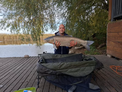 Dream Lake Horgásztó — photo 16