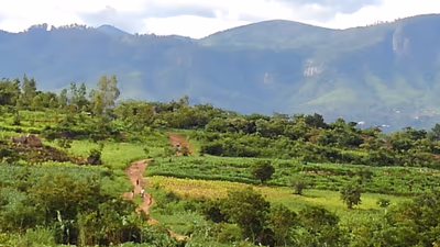 Zomba — photo 06