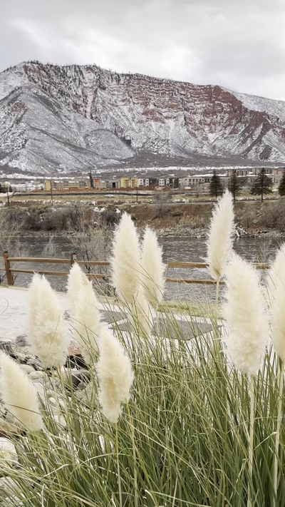Iron Mountain Hot Springs — photo 48