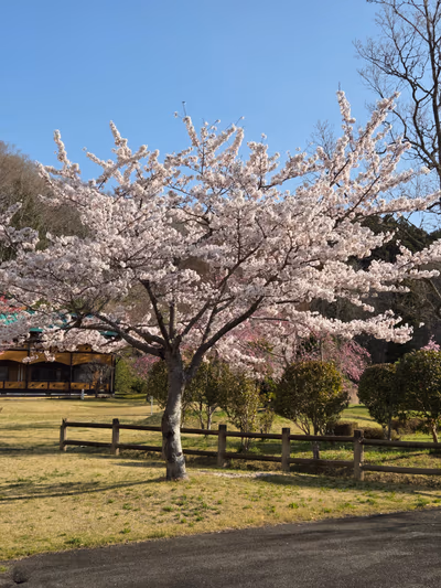 加護坊温泉 さくらの湯 — photo 12