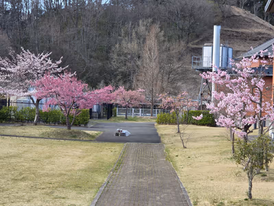 加護坊温泉 さくらの湯 — photo 14