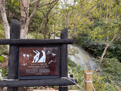 Kamuiwakka yunotaki Hot Falls — photo 19