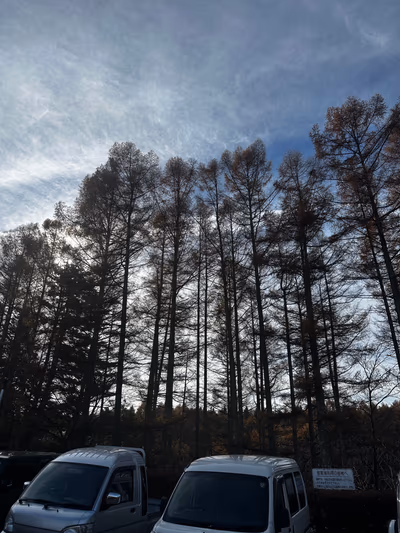 Togariishi Onsen Jomon Hot Spring — photo 11