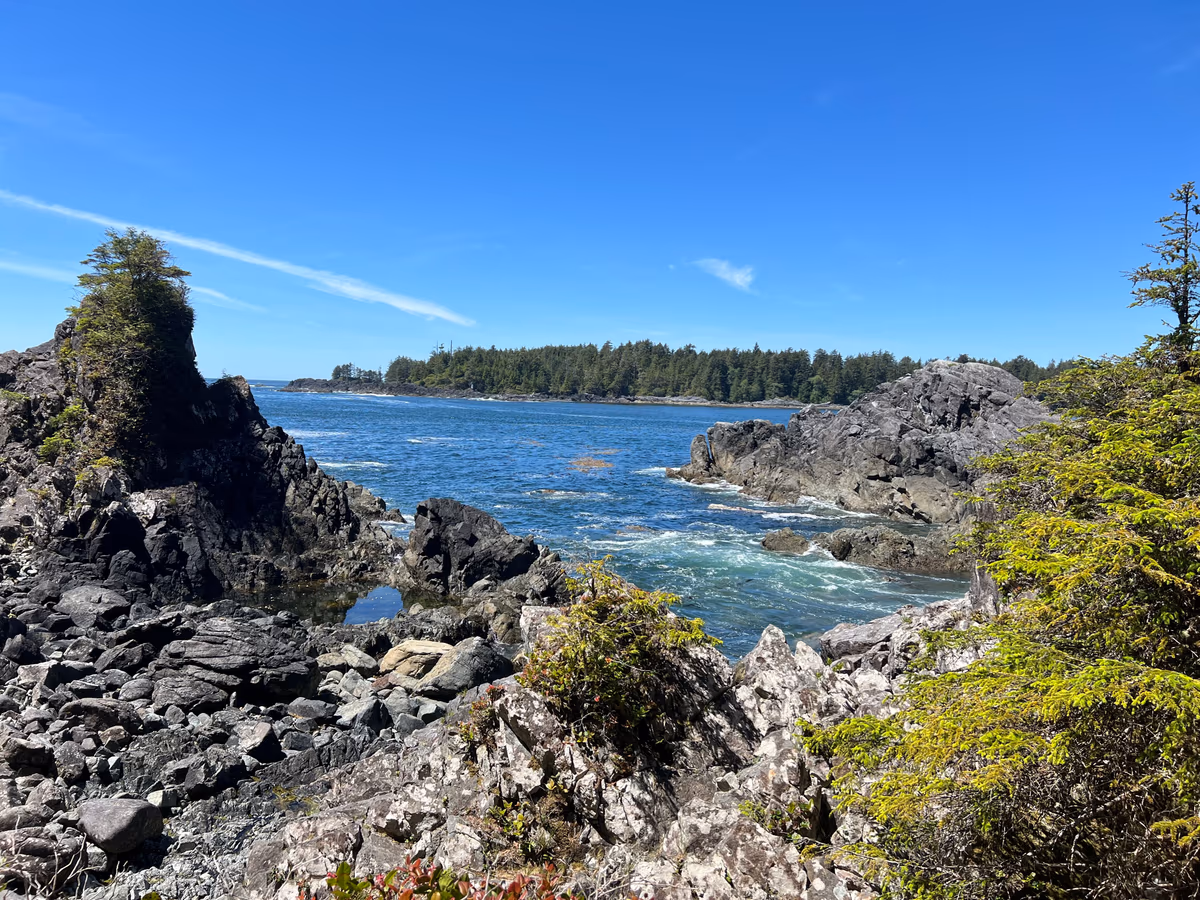 Hot Springs Cove