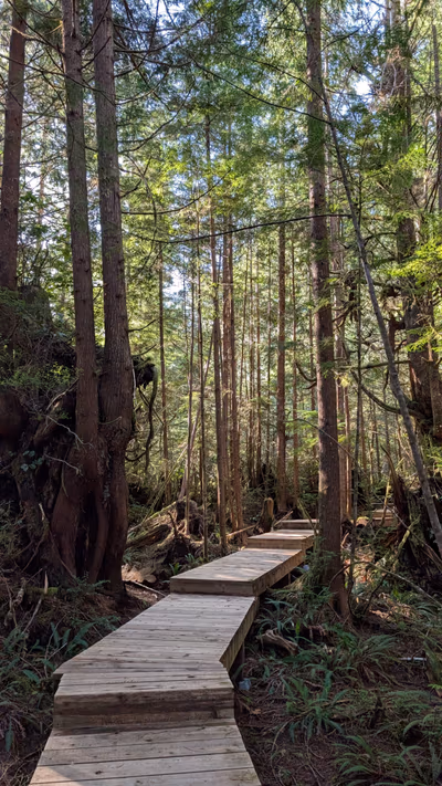 Hot Springs Cove — photo 13