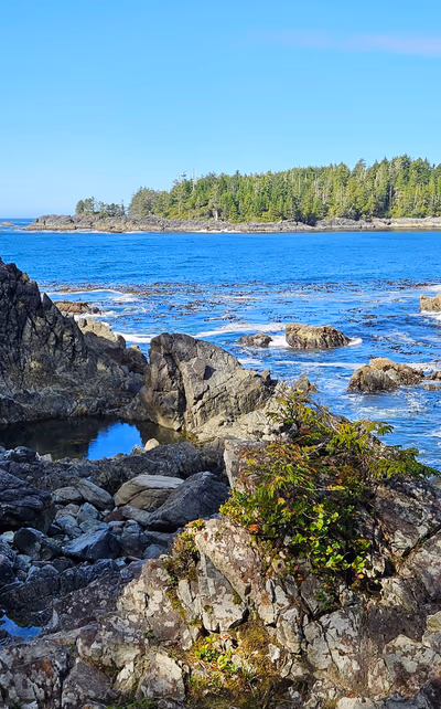 Hot Springs Cove — photo 24