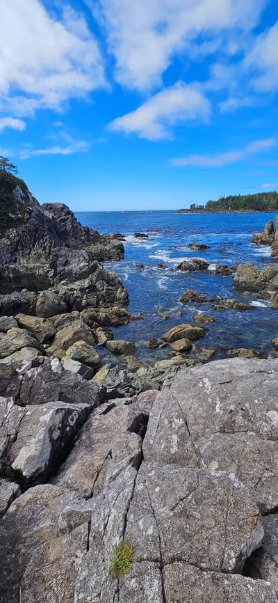 Hot Springs Cove — photo 25