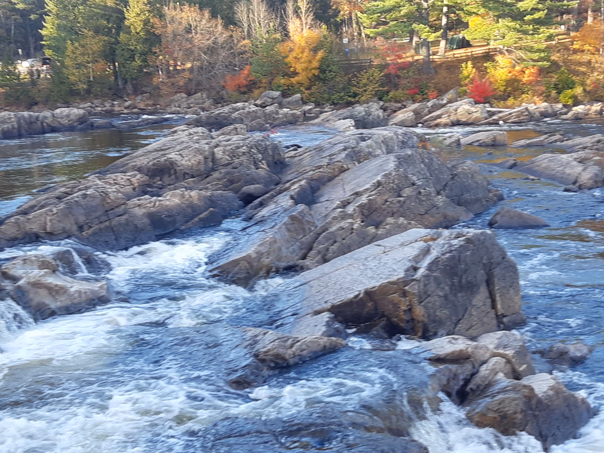Parc des Cascades