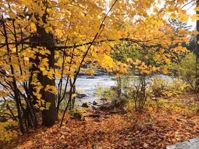 Parc des Cascades — photo 14