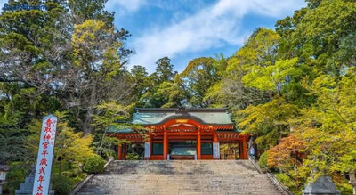 ROUTE INN KATORI SAWARA EKIMAE — photo 15