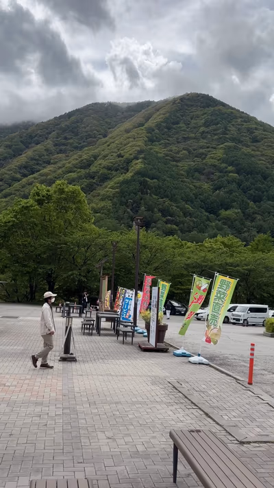 Tsuta no yu onsen — photo 03