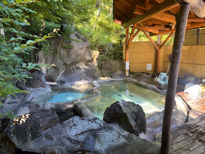 Tsuta no yu onsen — photo 09