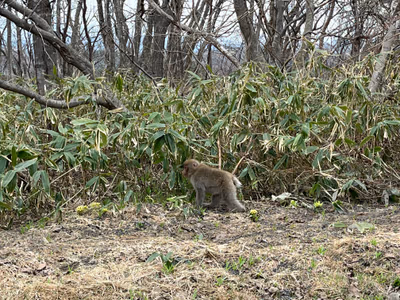 Attakayu Public Onsen — photo 17