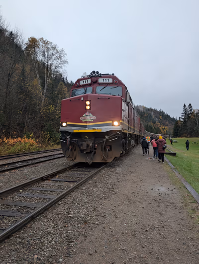 Agawa Canyon Tour Train — photo 16