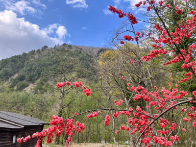 Hakuba Happo Onsen Obinata no yu — photo 02