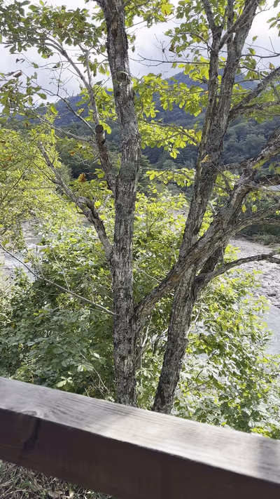 滝ノ上温泉 滝峡荘 — photo 15