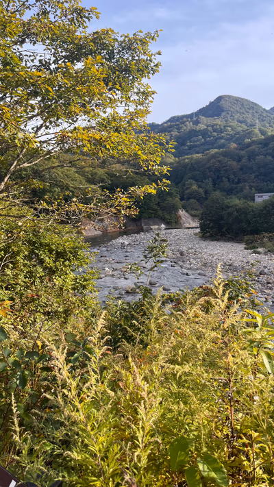 滝ノ上温泉 滝峡荘 — photo 23