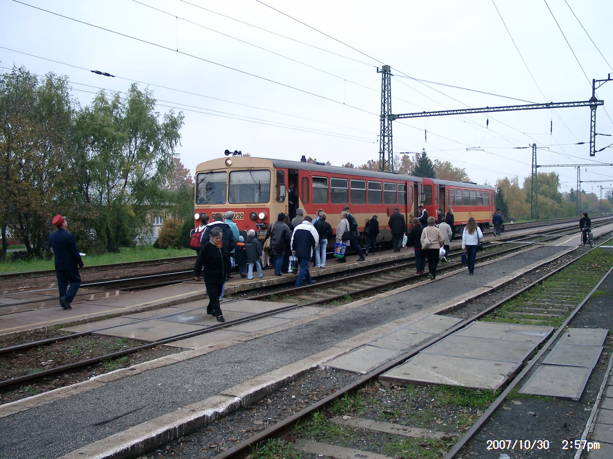 Sásd