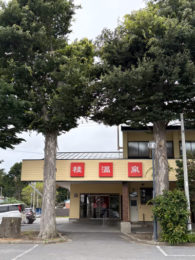 桂温泉 — photo 05