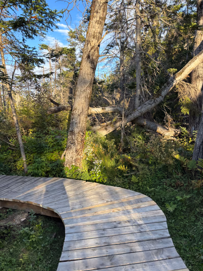 Nature Space Resort & Retreat Centre — photo 15