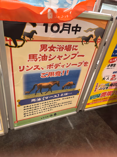 Onsen Minoh — photo 12