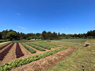 Farm Resort THE FARM — photo 10