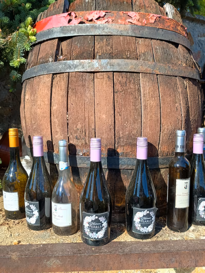 Hotel Botrytis — photo 02