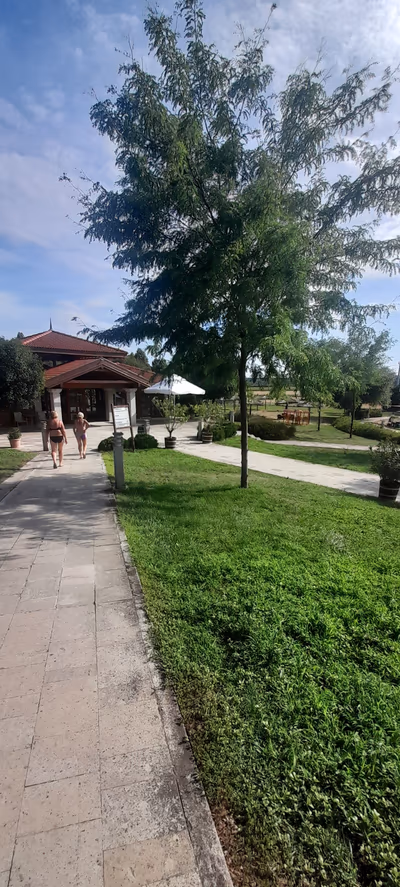 Thermal lake beach — photo 17