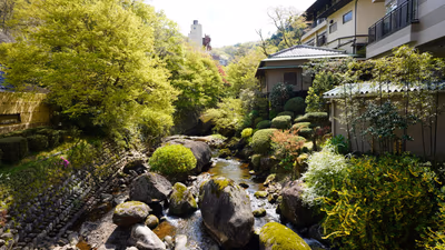 山神温泉 湯乃元館 — photo 03