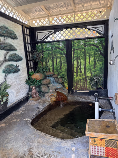 Essence Of Tranquility hot spring — photo 13
