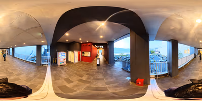 Moriyamayumotosuishun — photo 03