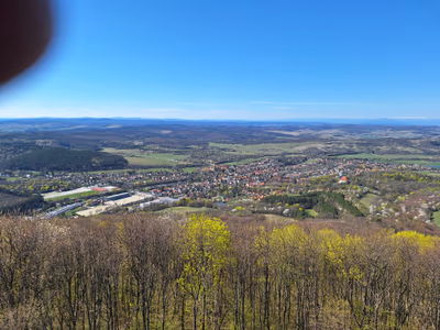 Millennium Lookout — photo 14