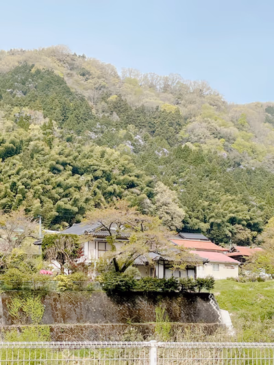 出雲湯村温泉 露天風呂野湯 — photo 12