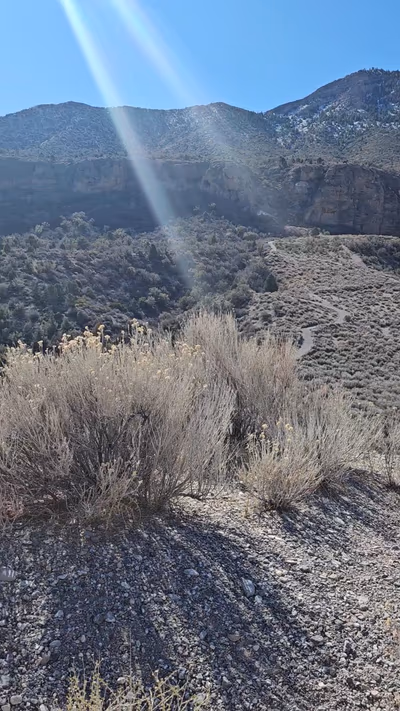 Spring Mountains Visitor Gateway — photo 38
