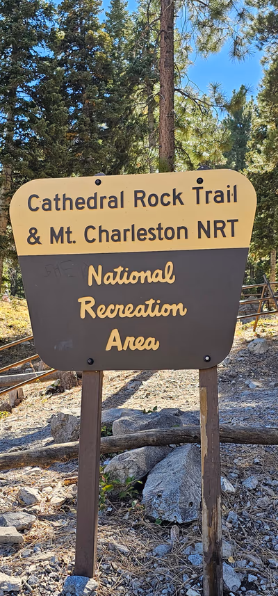 Spring Mountains Visitor Gateway — photo 39