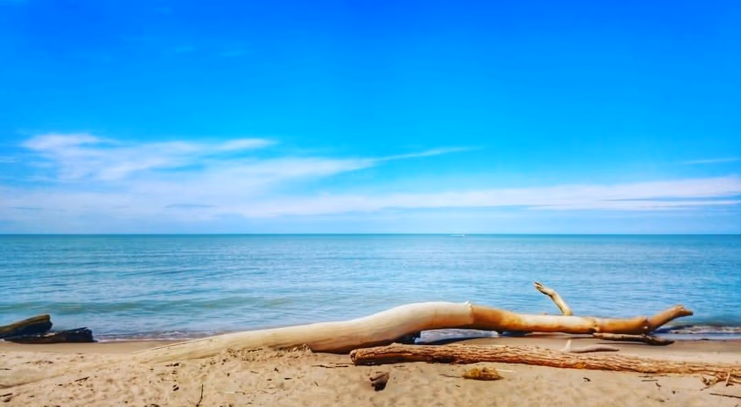 Lambton Shores