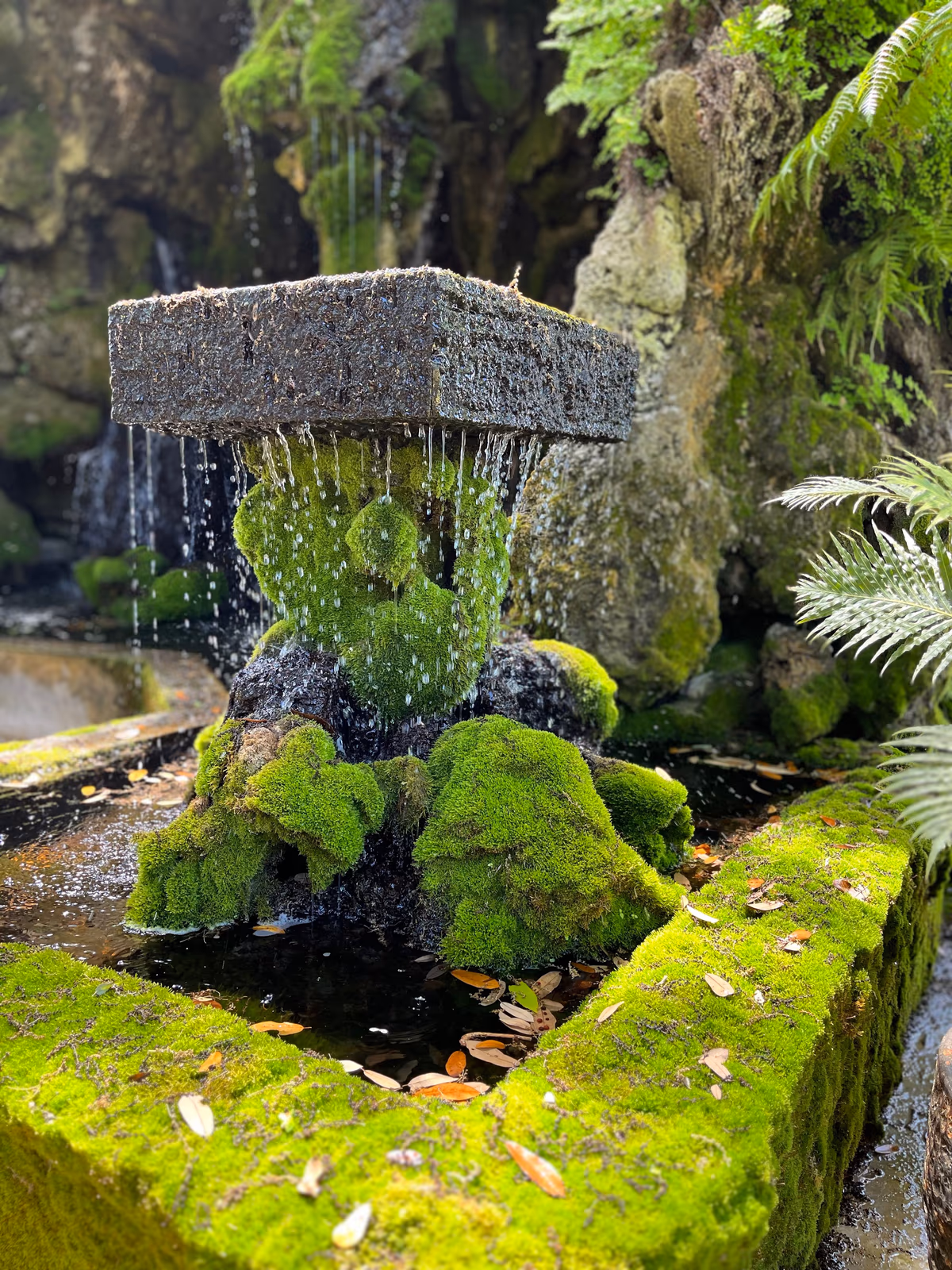Krause Springs