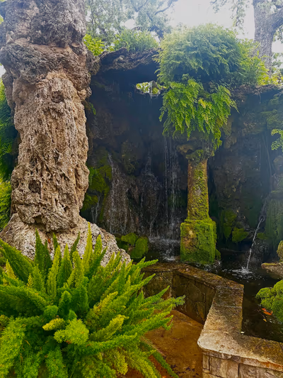 Krause Springs — photo 19