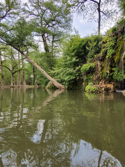 Krause Springs — photo 21