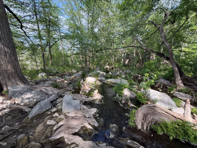 Krause Springs — photo 22