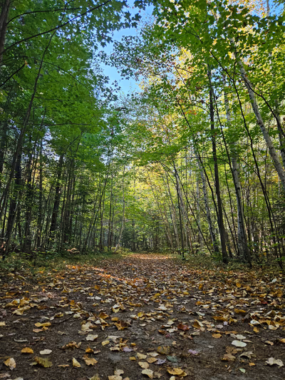 Petawawa Terrace Provincial Park — photo 13