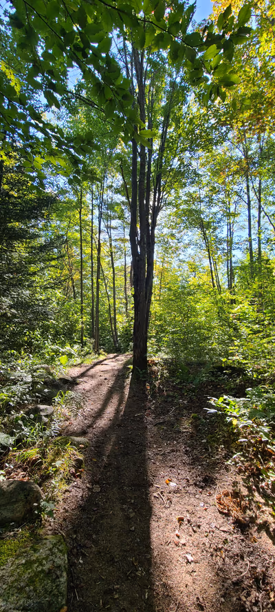 Petawawa Terrace Provincial Park — photo 42