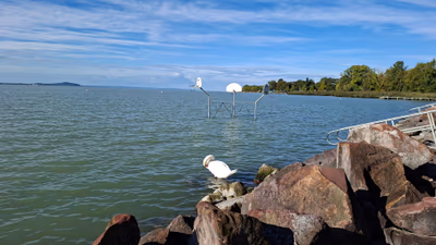 Révfülöp Napfény Strand — photo 12